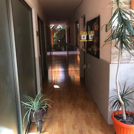 Casa Alejandra Apartment อันโตฟากัสตา ภายนอก รูปภาพ